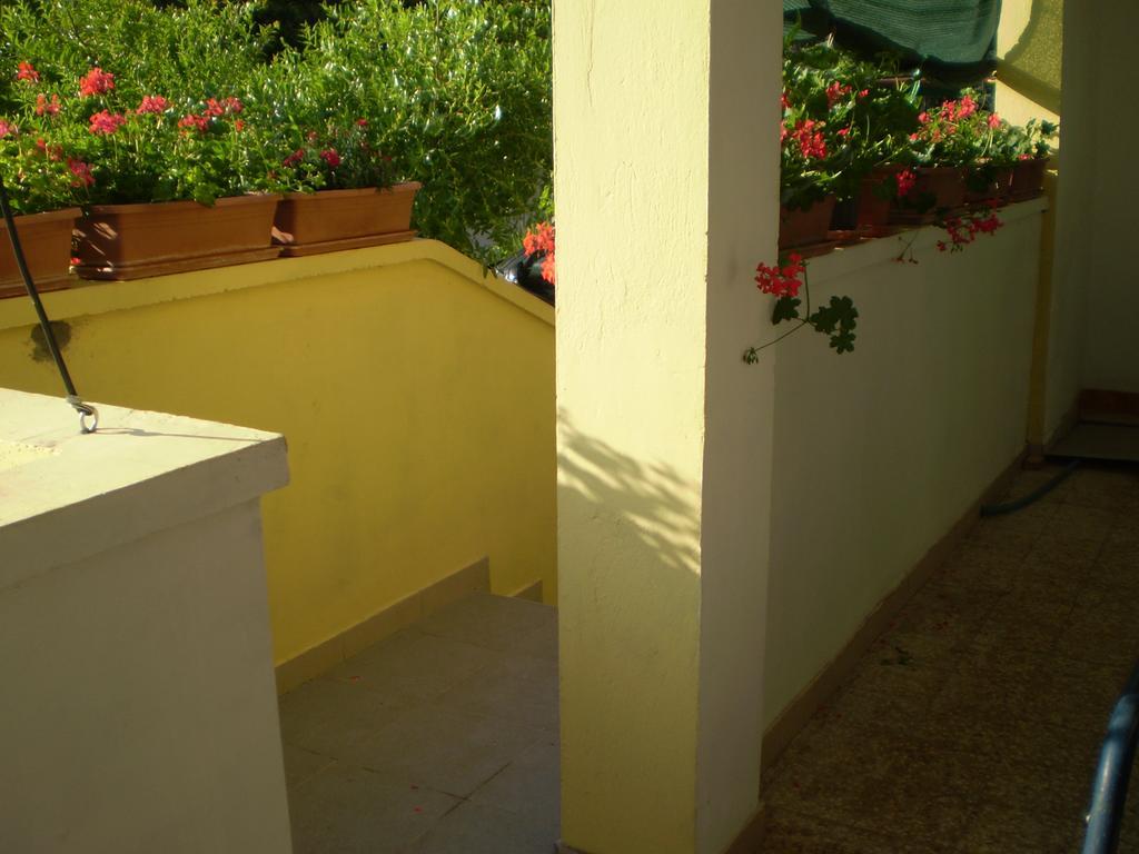 Apartments Kocijan Sukosan Exterior photo